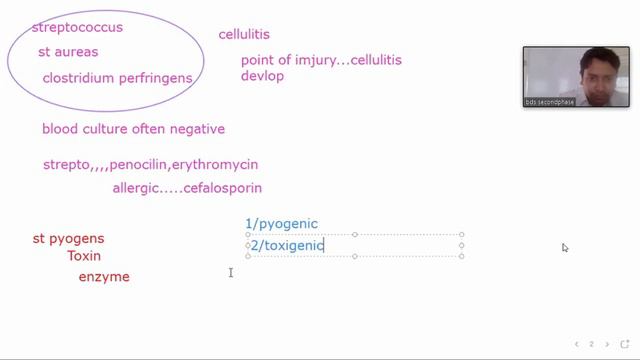 streptococcus 2 смотреть онлайн