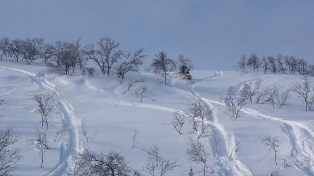 Polaris Pro RMK 600 155 смотреть онлайн