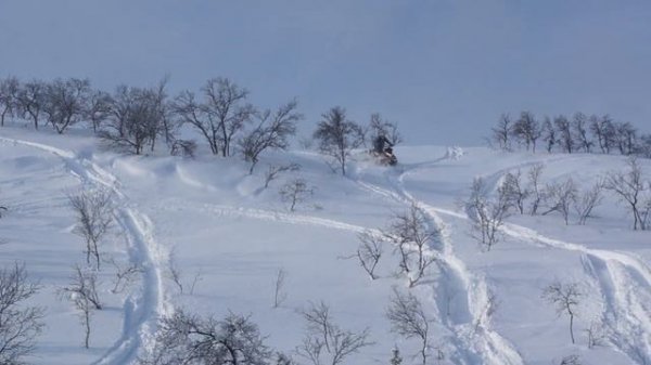 Polaris Pro RMK 600 155