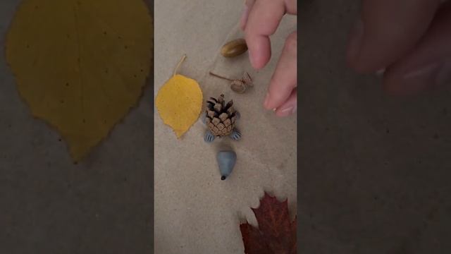 Ежик - осенняя поделка своими руками для детей из пластилина, шишки и желудя. смотреть онлайн