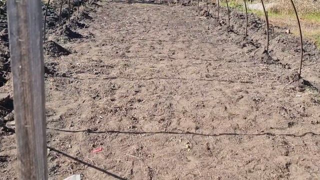 Парник тепличка 4х13м за пару часов. смотреть онлайн