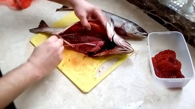 Красная икра в свежемороженной горбуше. смотреть онлайн