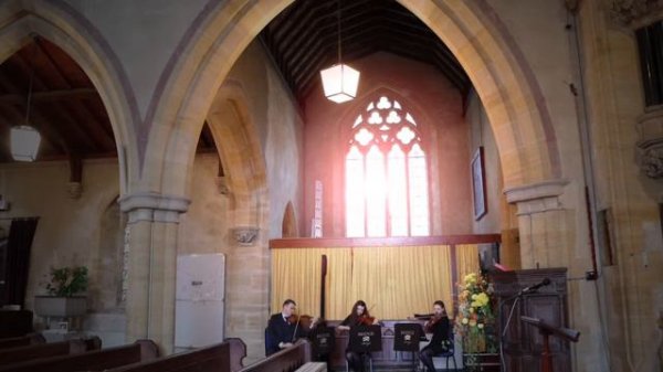 Bridge Strings - Romantic Flight - How To Train Your Dragon