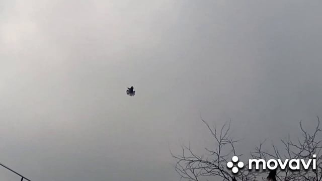 Николаевские голуби г. Мариуполя Павловского Эдуарда .Украина. смотреть онлайн