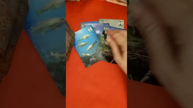 Что несомненно сбудется в вашей судьбе #таро #tarot #lovetarot смотреть онлайн