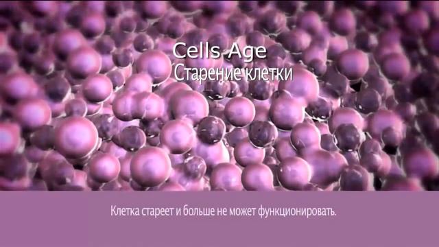 Что такое TA- 65. Как омолаживает FINITI от Jeunesse смотреть онлайн