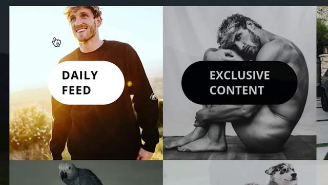 We bought Cardi B's OnlyFans so you don't have to смотреть онлайн