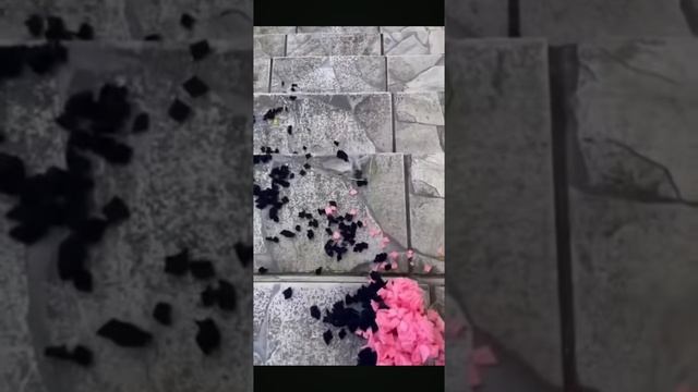 бью бутылки по лемтнице, РЕЛАКС для Глаз, и ушей, приятный звук, антистресс смотреть онлайн