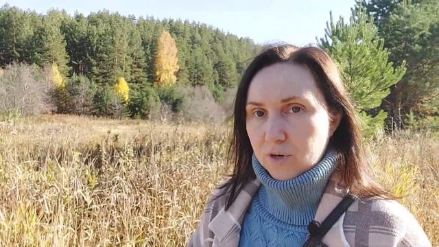 Итоги сентября, как сработал прогноз, просветление и Фен-Шуй, Дом Мечты | Александра Наумова смотреть онлайн