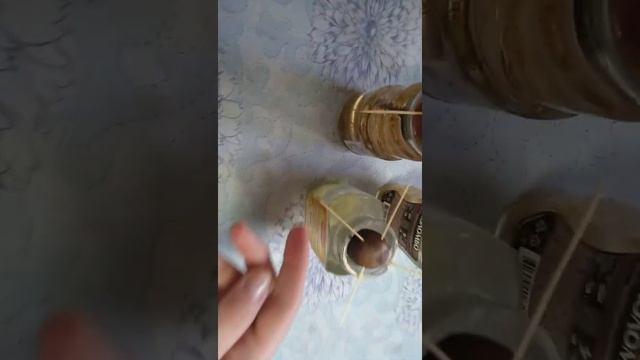 Выращиваю авокадо в воде?✔️. Какое авокадо самое шустрое?!!? смотреть онлайн