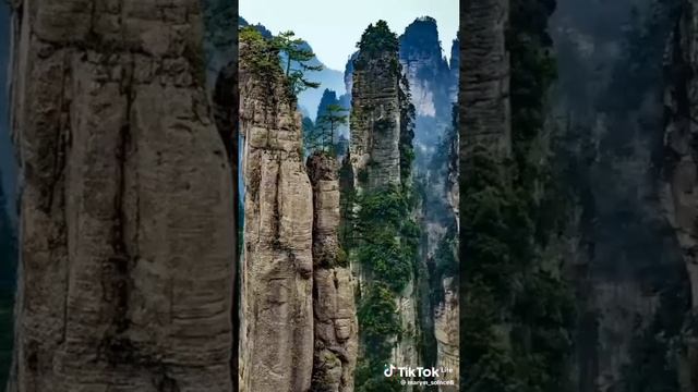 Лайки и подписки взаимно! #природа #красота #закат #рассвет #рекомендации #реки #деревья #пейзаж #пу смотреть онлайн