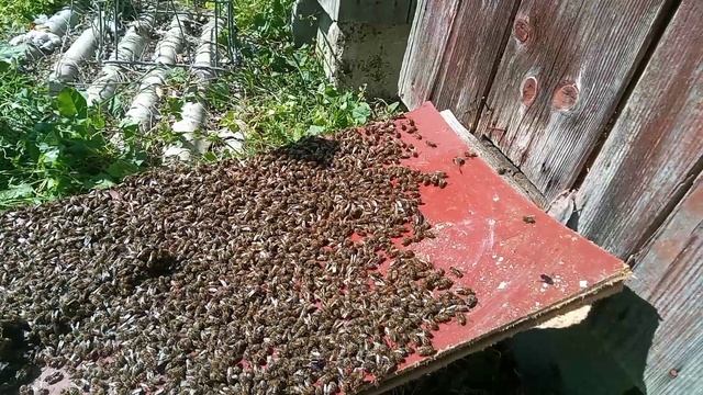YouCut_20230612_171004300.mp4 смотреть онлайн