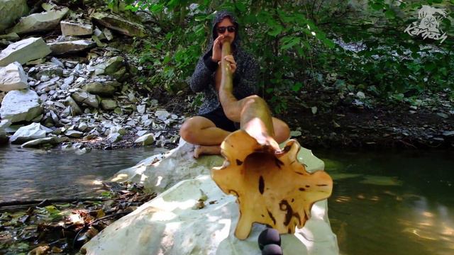 Bullfrog Didgeridoo Solo | Медитация с диджериду