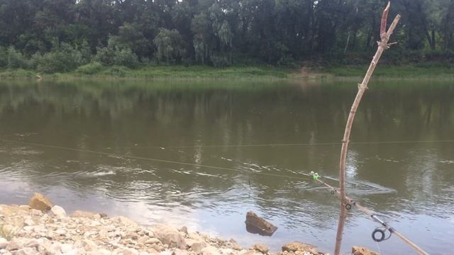 Рыбалка на Урале, СОМ ГОЛАВЛЬ ПОДУСТ!!!отличный улов смотреть онлайн