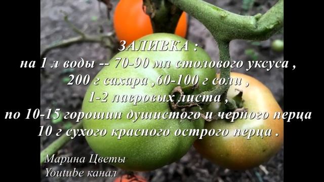 ПОМИДОРЫ ЗЕЛЕНЫЕ , МАРИНОВАННЫЕ С ЛУКОМ !!! смотреть онлайн
