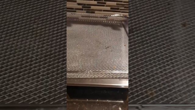 Ninja SP351 Foodi Smart 13 in 1 Dual Heat Air Fry Countertop Oven Review, Great for pizza and rapid смотреть онлайн