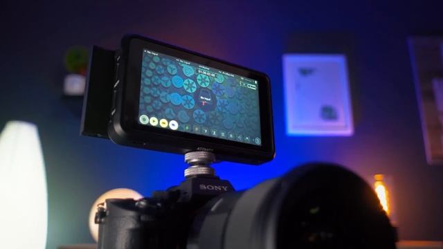 ✅ Mi MEJOR EQUIPO para GRABAR VIDEOS PROFESIONALES / Sony a7iii + Zhiyun Weebil 2 + Atomos ninja V смотреть онлайн