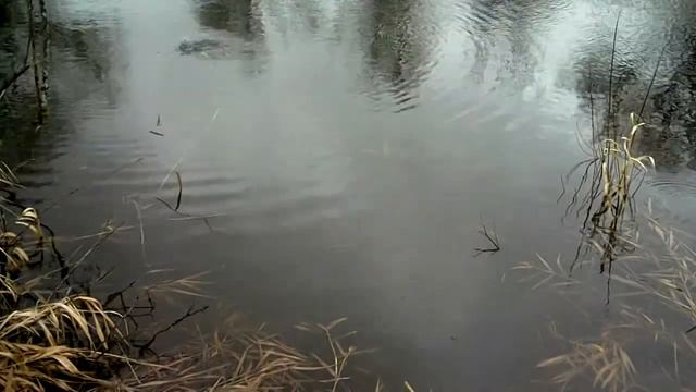 Тюненый косадака флеш 130 в воде смотреть онлайн