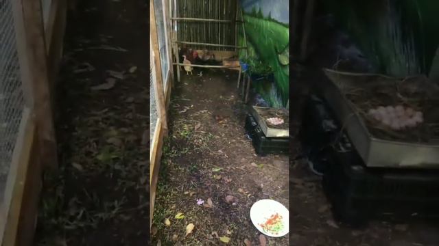 Алексей Купин и Майя Донцова в сторис 18.05.2020. смотреть онлайн