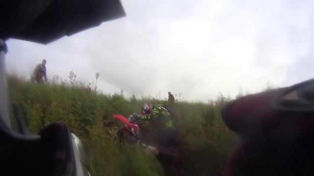 Мишка затащил смотреть онлайн