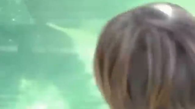 Дети в зоопарке. Kids at the zoo. смотреть онлайн