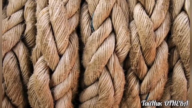 Веревка:узнай больше.. смотреть онлайн