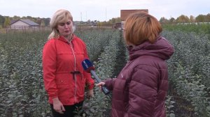 Питомник «Мир растений»