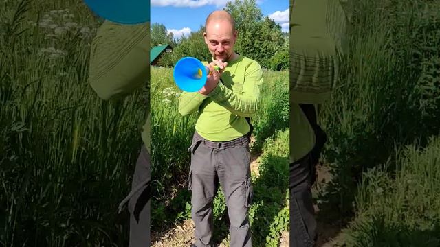 Средство борьбы с медведями. Дудка против медведей. Вувузела. смотреть онлайн