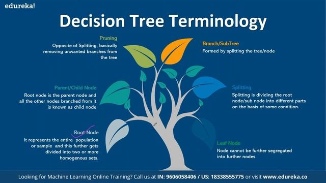 Decision Tree | Decision Tree in Python | Machine Learning Algorithms | Edureka | ML Rewind - 6 смотреть онлайн