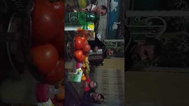 Даргинская Песня на гармошке 2017 год смотреть онлайн