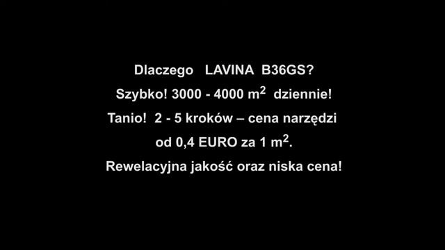 Большой планетарный бернишер Lavina B36G-S