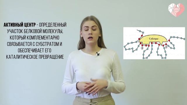 PROСТО О СЛОЖНОМ Ферменты, Биохимия №7 смотреть онлайн