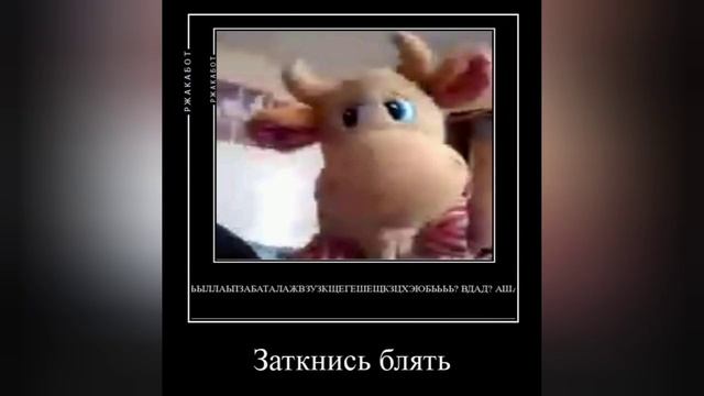 топ пять смешных анекдотов смотреть онлайн