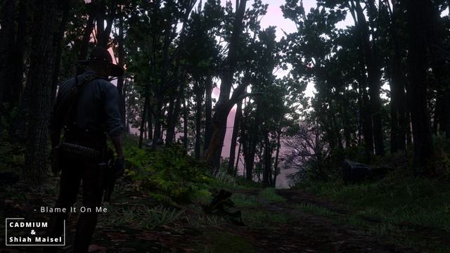 CADMIUM & Shiah Maisel - Blame It On Me