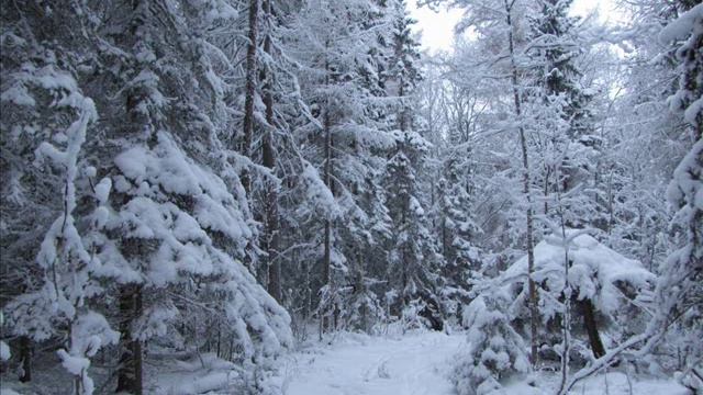 Ответы на вопросы 42 смотреть онлайн