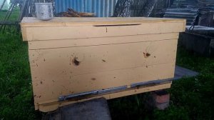 Улей-лежак,обзор