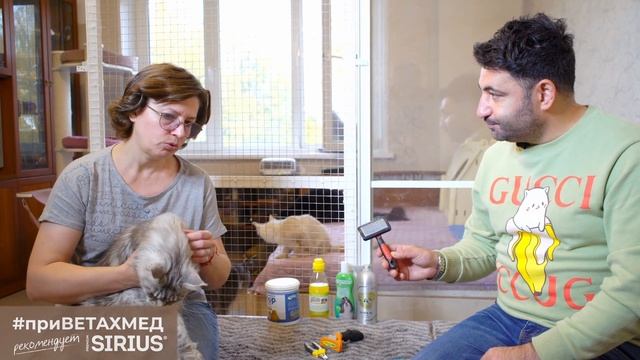 Уход за длинношёрстной кошкой // #приВЕТАХМЕД смотреть онлайн