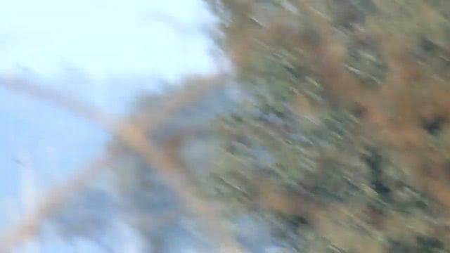 sony dsc 100 camera video test смотреть онлайн