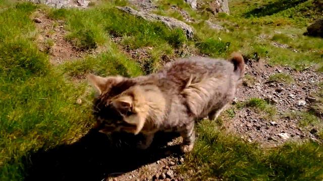 Дальний Таганай смотреть онлайн