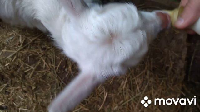 Гоша заболел.