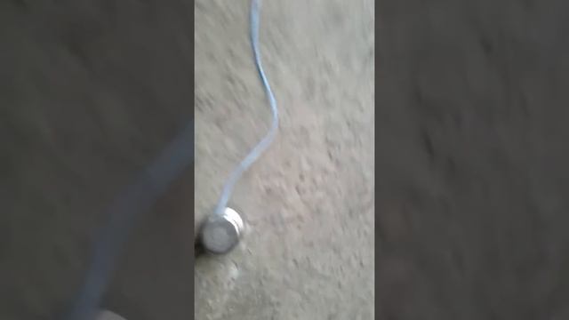 Лучший способ приручить голубя смотреть онлайн