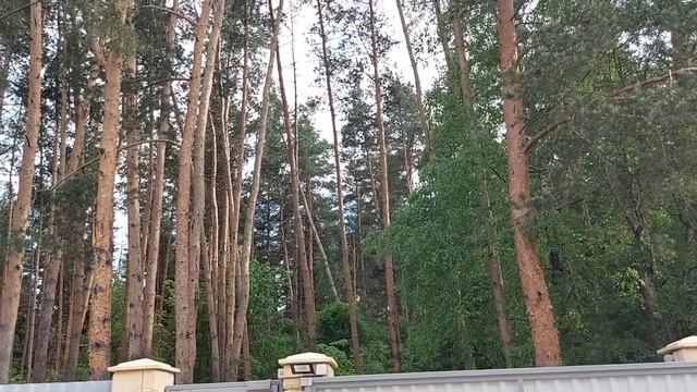 ПРИЗВАТЬ ДЕНЕЖНЫХ КЛИЕНТОВ НА МЁД. ОЧЕНЬ СИЛЬНЫЙ ЗАГОВОР . ДЛЯ ВСЕХ. ВЕДЬМИНА ИЗБА. смотреть онлайн