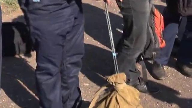 отправка в поход смотреть онлайн