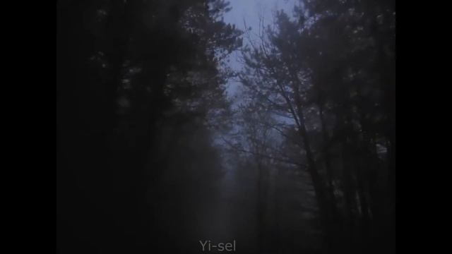 Зианджа Vs. Алексей Баклан – 