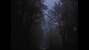 Зианджа vs. Алексей Баклан – "Summertime Sadness"