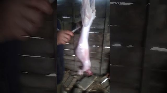 как быстро разделать кролика