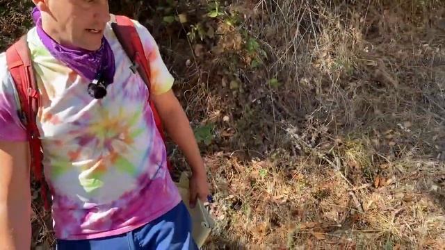 Pseudotsuga menziesii, Pinaceae смотреть онлайн