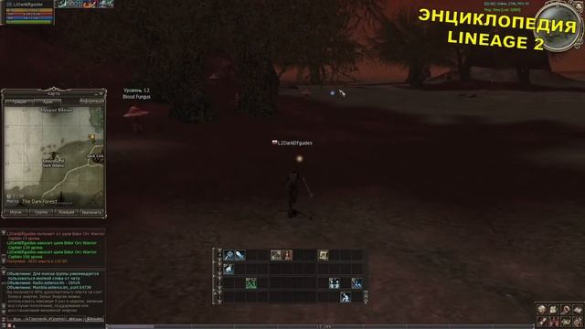 Как быстро прокачать Темного эльфа 1-20 лвл Lineage 2 смотреть онлайн