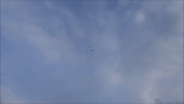 Русский вальс и голуби смотреть онлайн
