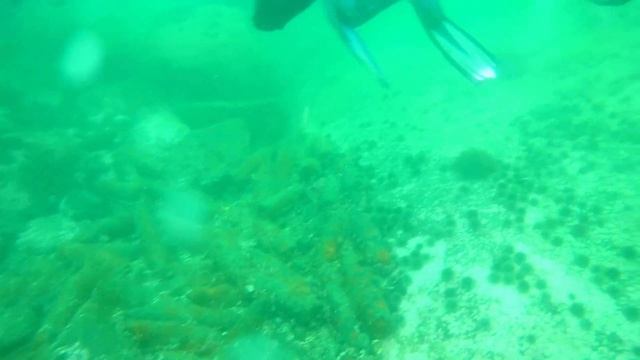 Дайвинг смотреть онлайн